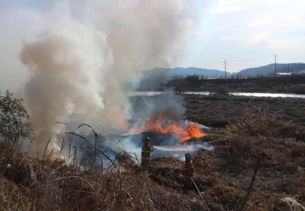 지난 1월 17일 담양군 고서면 동운리에서 발생한 임야(들불)화재의 확대를 막기 위해 소방관들이 쉼없이 물을 뿌리고 있다.